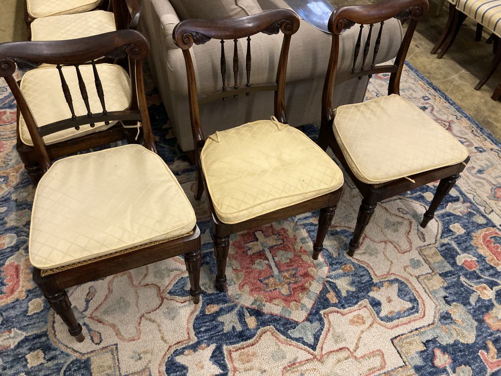 A set of six William IV rosewood cane seat dining chairs, with squab cushion seats